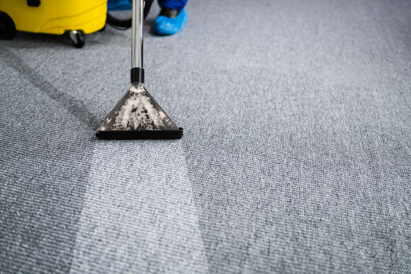 Condo Carpet Cleaning