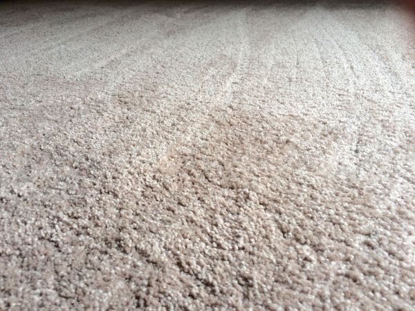 Plush Carpet Installation in Indio